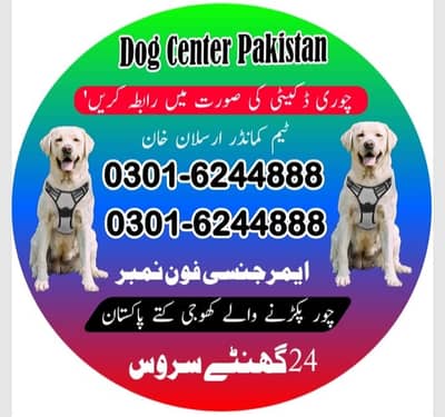 03016244888 Army Dog center khoji Dog Center Khoji kutta Fauji kutte