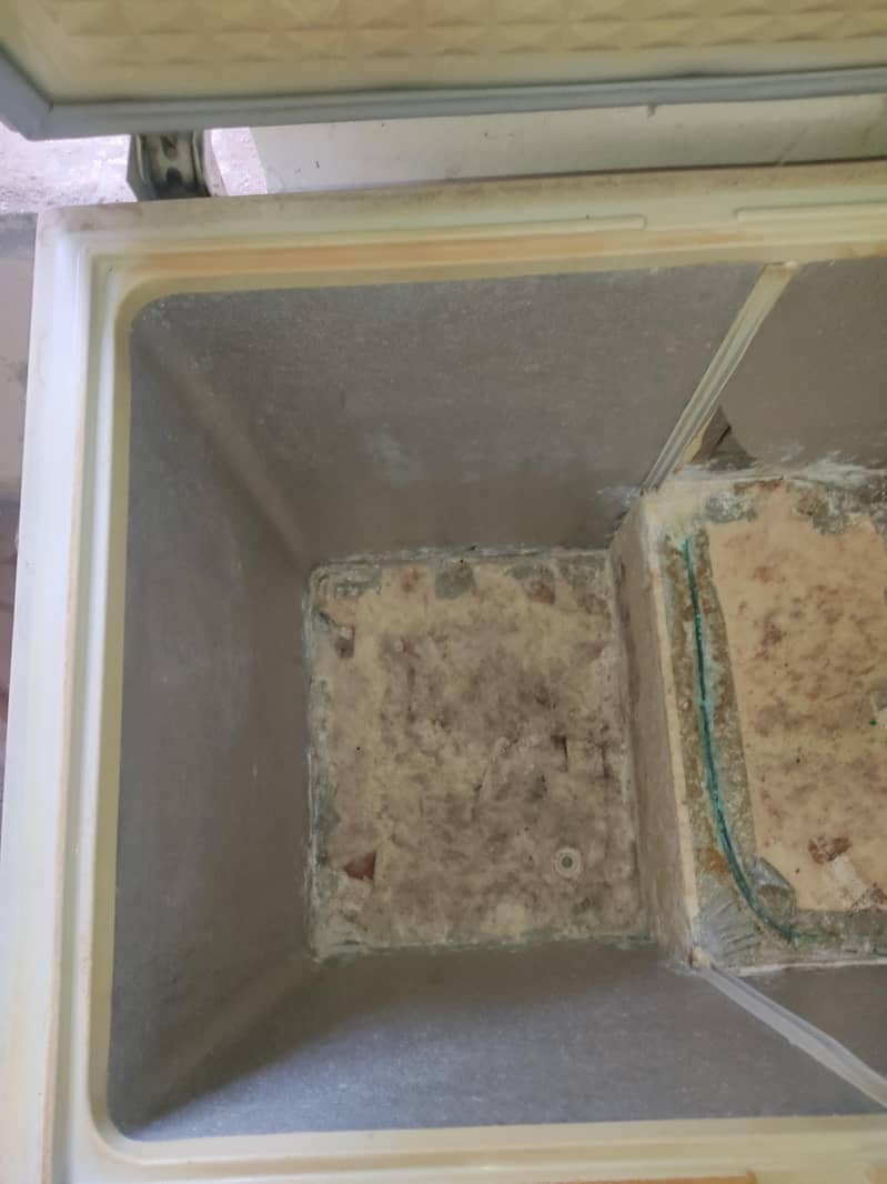 Deep Freezer 7