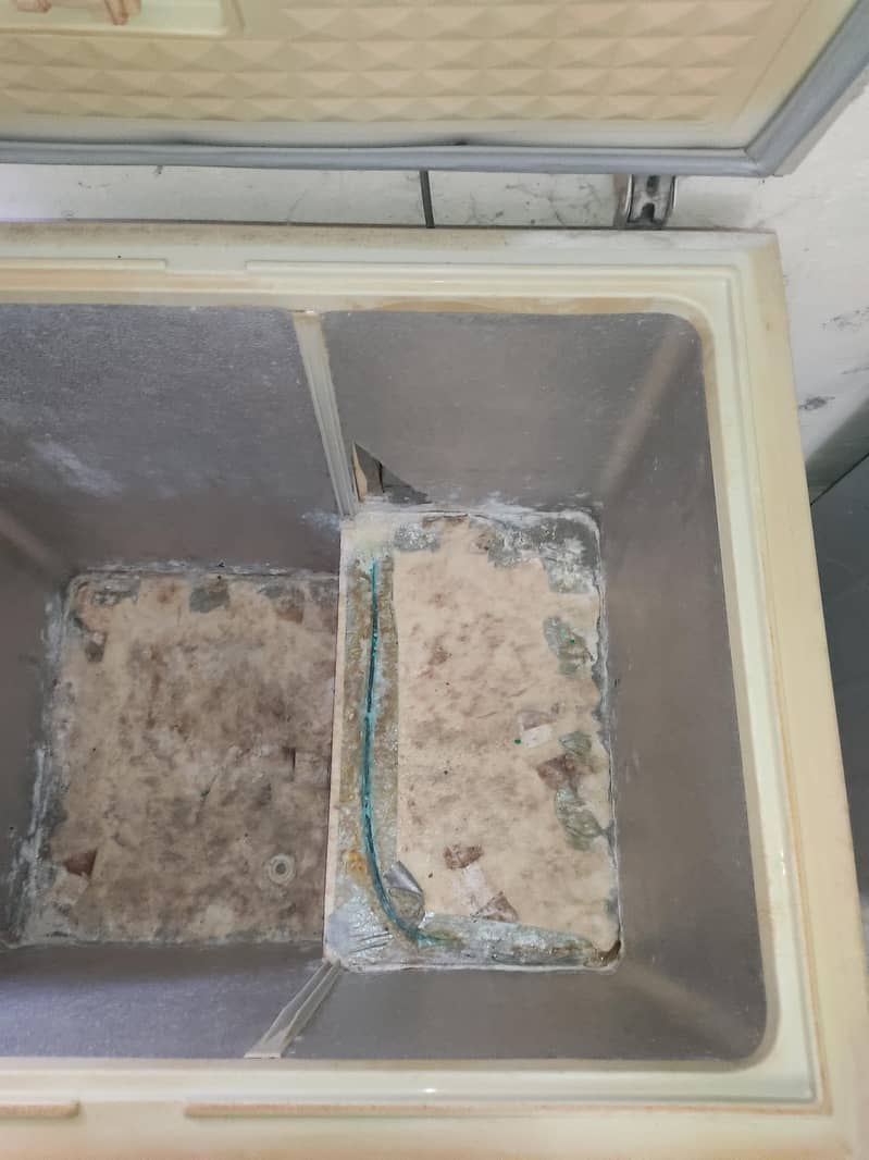 Deep Freezer 8