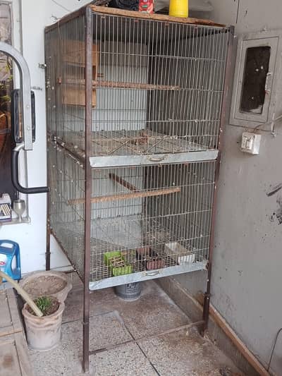 Cage for Ringneck and Raw parrots.
