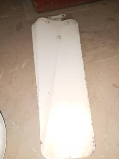 pak fan ceiling fan