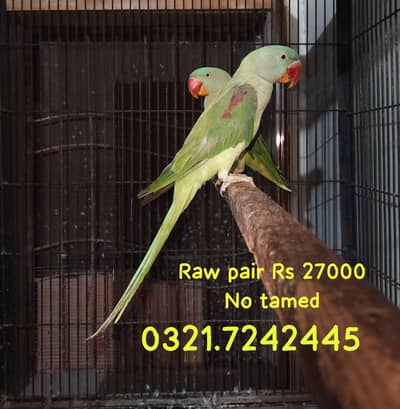 Raw pair and cages