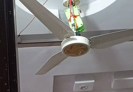 Royal fan ac dc fan. Ceiling fan. Royal ceiling fan