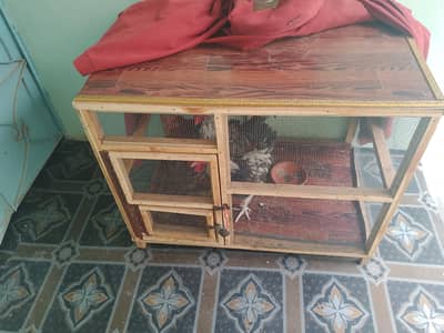 Bird Cage