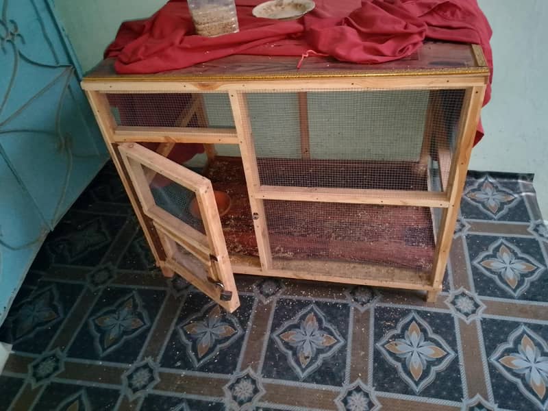 Bird Cage 1