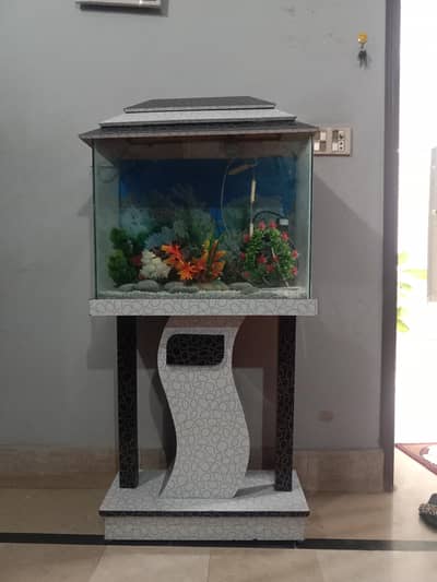 Fish Aquarium for Sale  Full Setup with Plants & Accessories