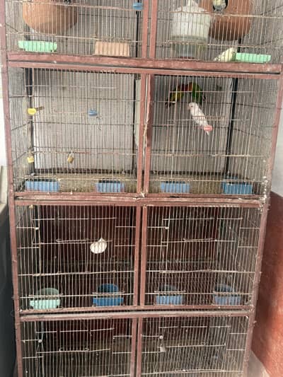 4 Portion Folding cage