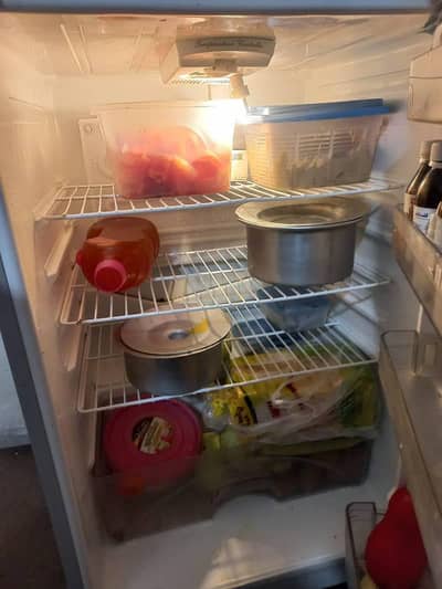 Dawlance Double Door Large Fridge – Neat & Clean