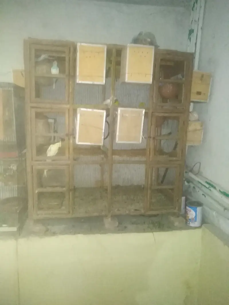Complete setup for sale — photo 7