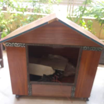 cat home