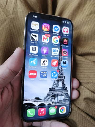 Apple iPhone 12 Pro Max