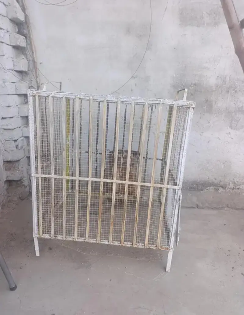 solid iron cage for pets, hen,cat, dog, chicks for all kind of animals