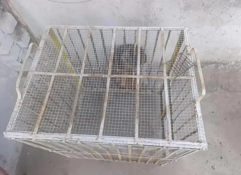 solid iron cage for pets, hen,cat, dog, chicks for all kind of animals — photo 2