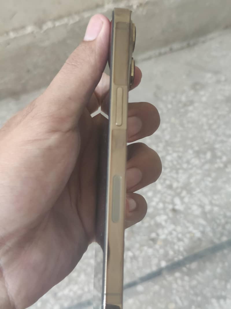 Apple iPhone 13 Pro 1