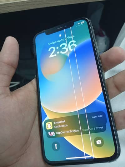 Apple iPhone X
