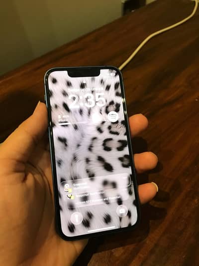 Apple iPhone 13 mini