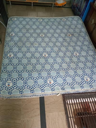 master beauty rest plus (03034139219)