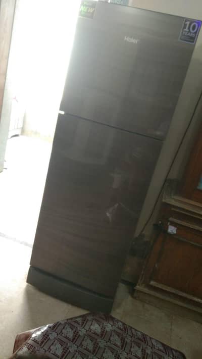 Hair fridge sale