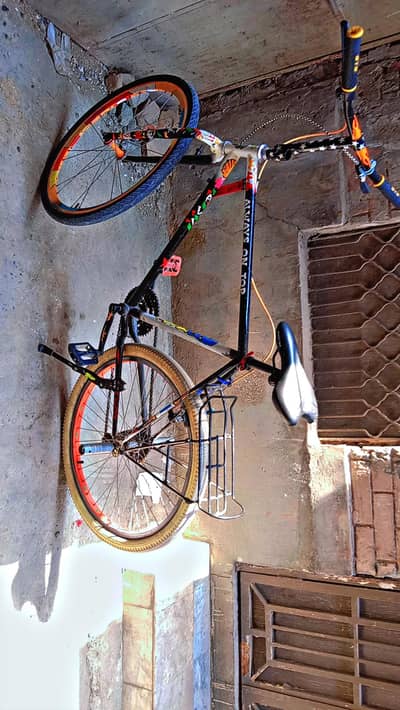 phoenix cycle in japni saman
