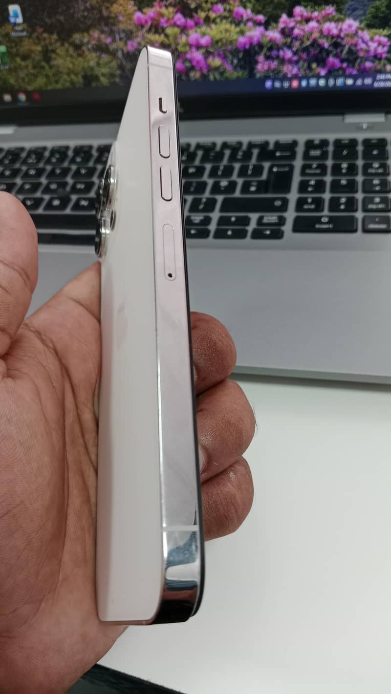 Apple iPhone 13 Pro Max 1