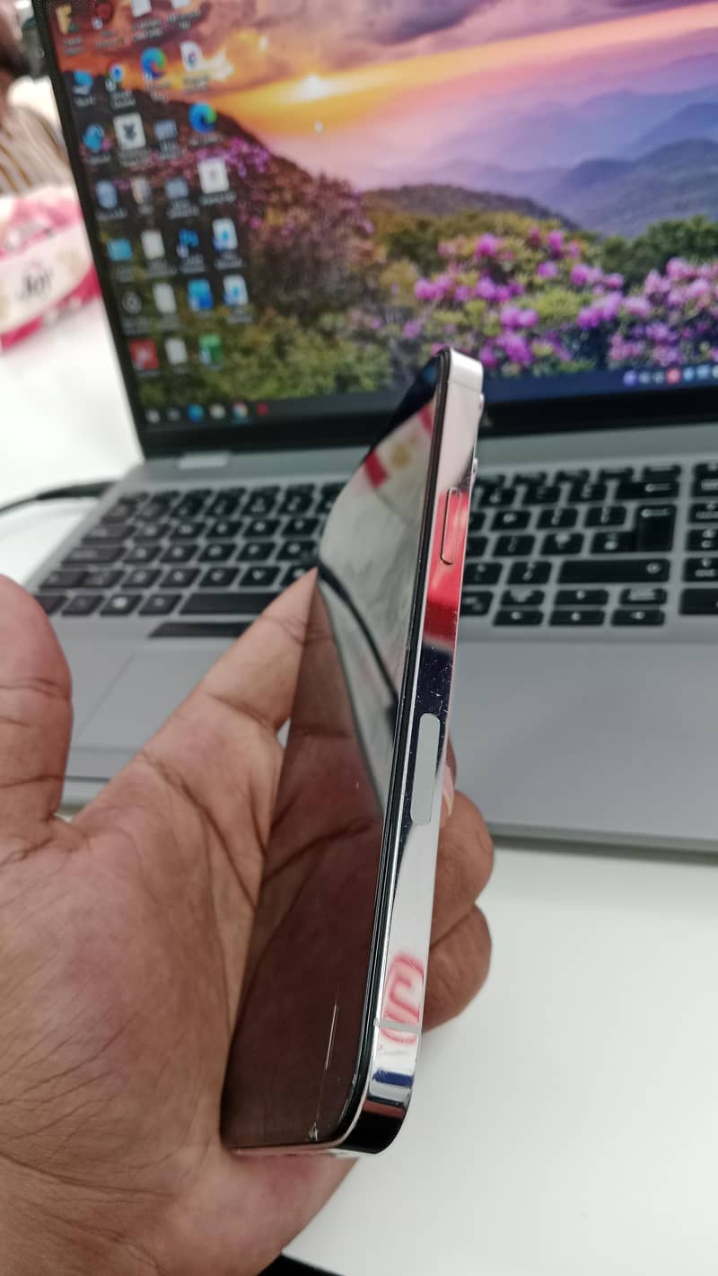 Apple iPhone 13 Pro Max 2