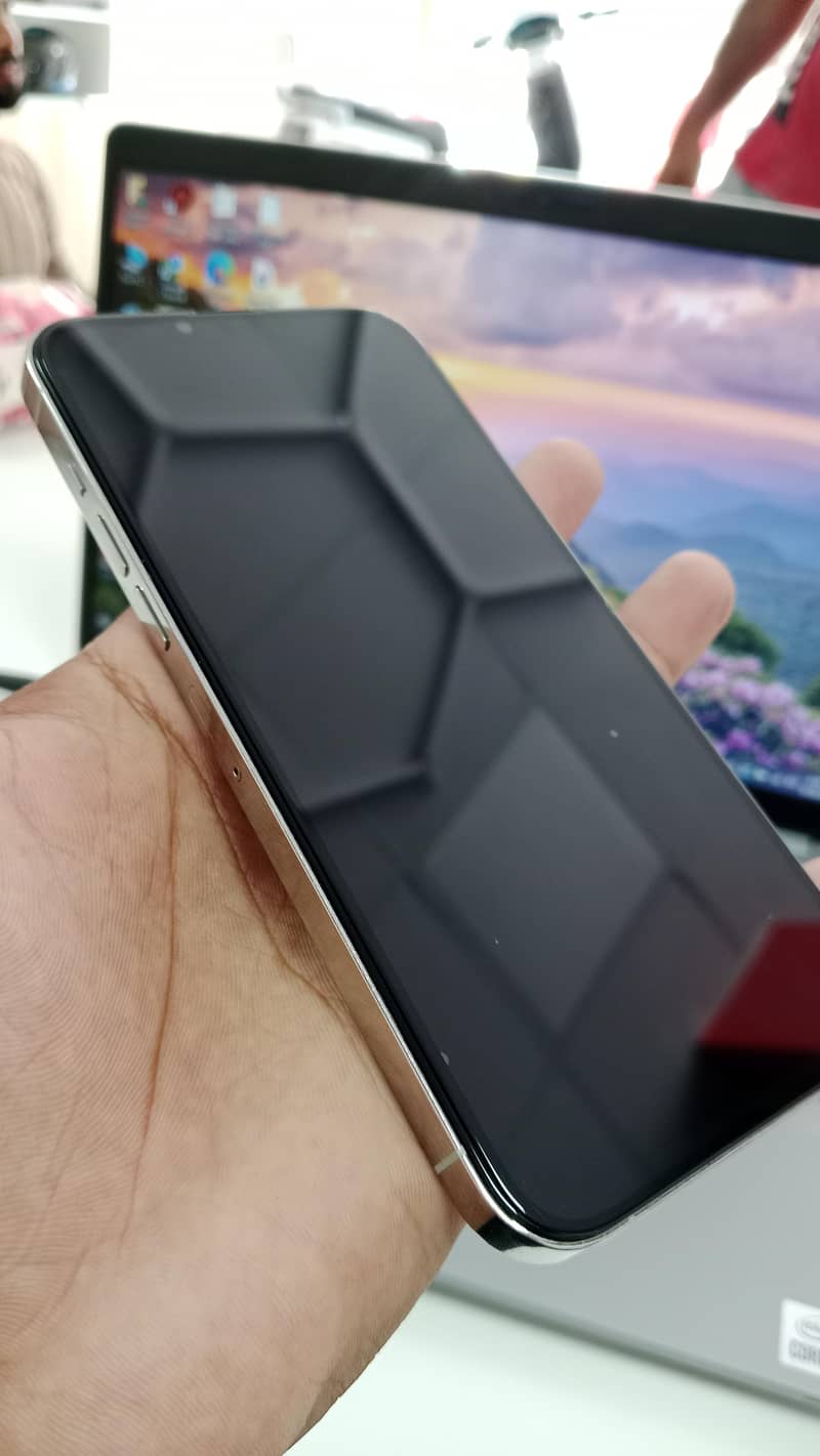 Apple iPhone 13 Pro Max 3