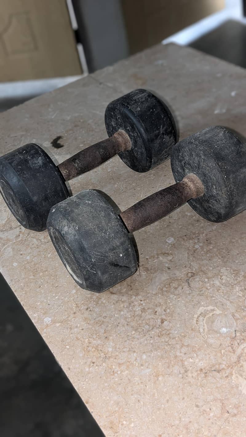 dumble 1