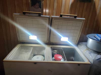 Double Door D-Freezer PEL