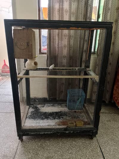 Birds Cage for Sale