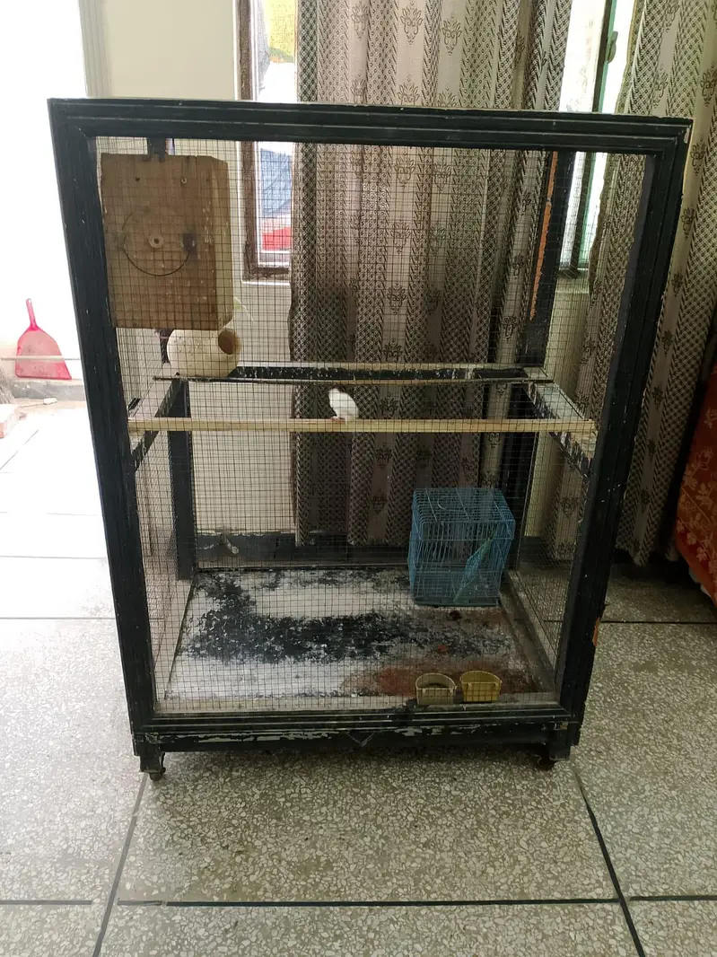 Birds Cage for Sale — photo 3