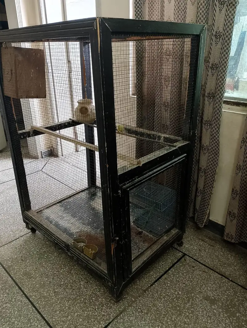 Birds Cage for Sale — photo 5