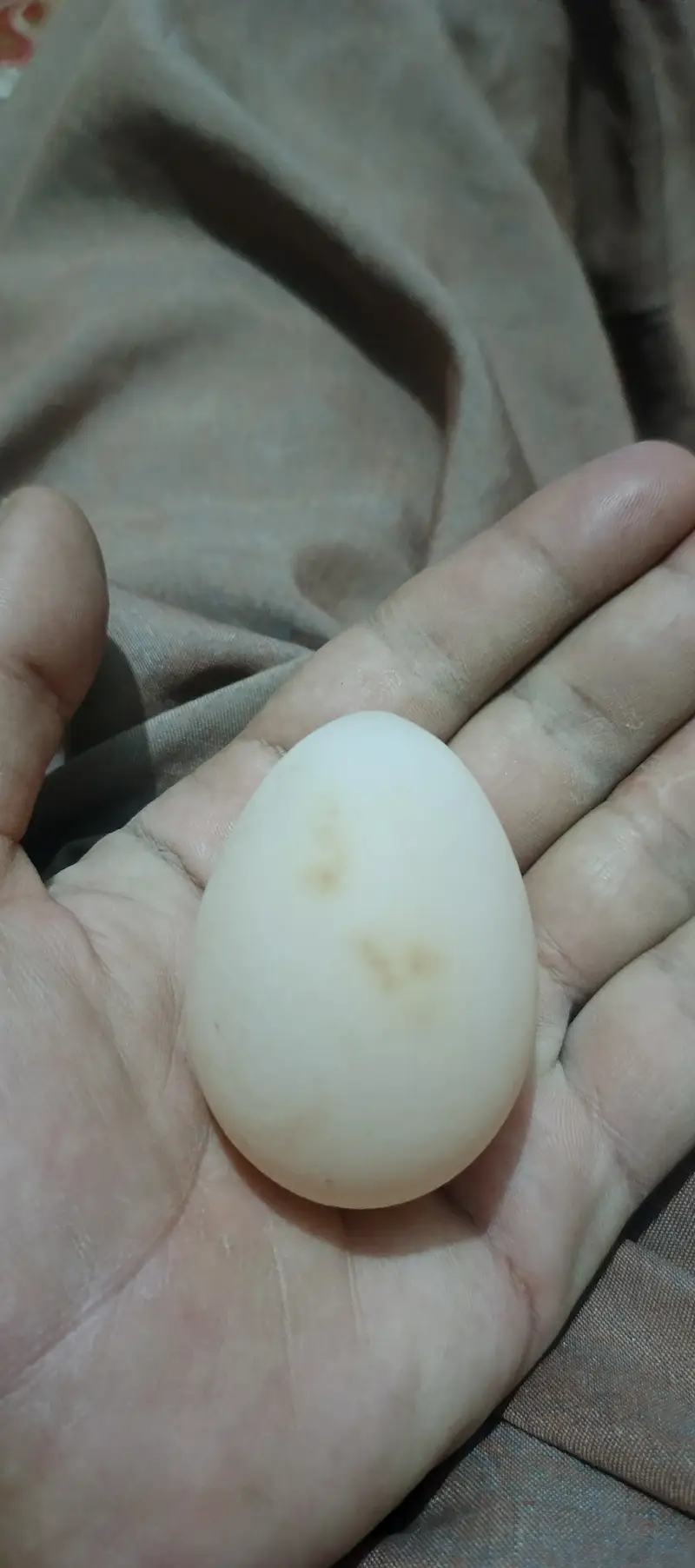 1 pear Abi chozy Nikal kar fir Andy Daina start ho gai — photo 2