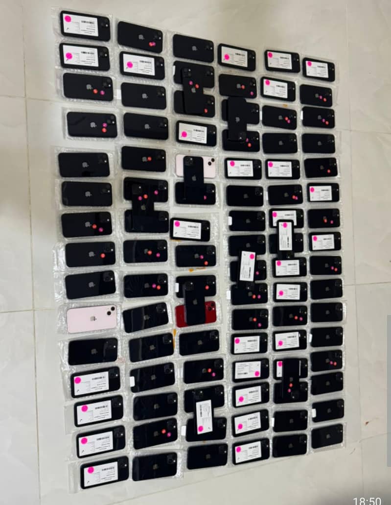 Apple iPhone 13 0
