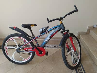 YS Mountain Bike