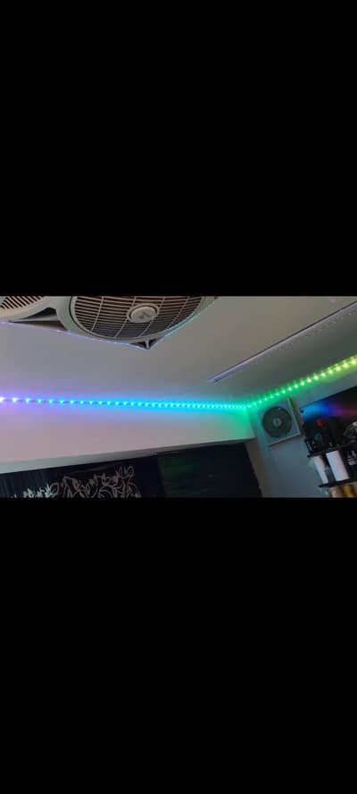 RGBIC strip lights smart led strip light