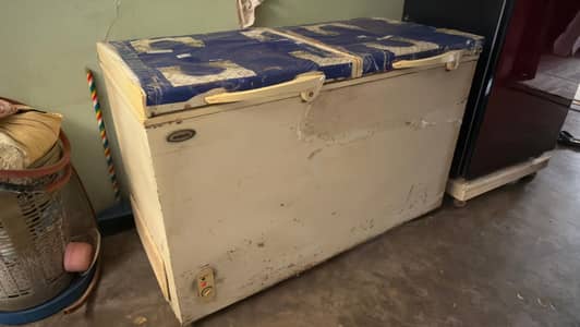 Waves Deep Freezer Used