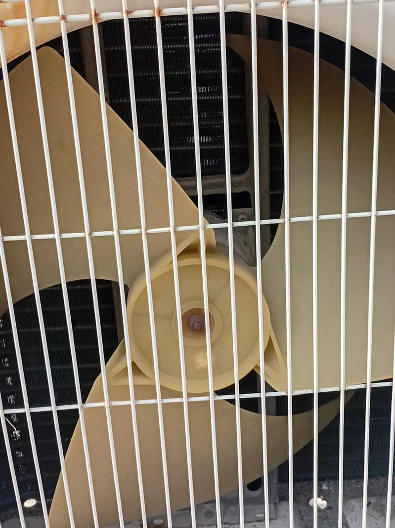 hair split Ac 2