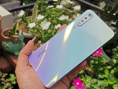 03237004371 vivo S1 lush condition complete box dualsim amoled display
