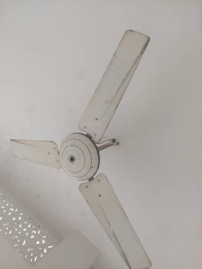 Fan for sale