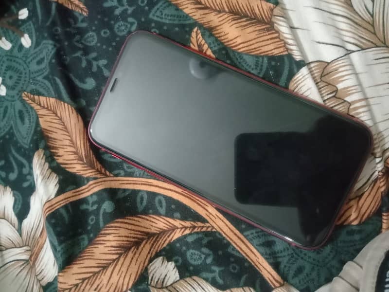 Apple iPhone 11 0