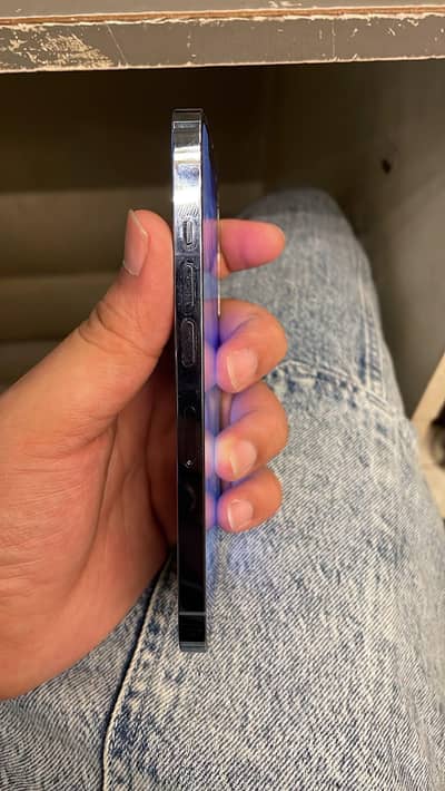 Apple iPhone 12 Pro Max PTA approved