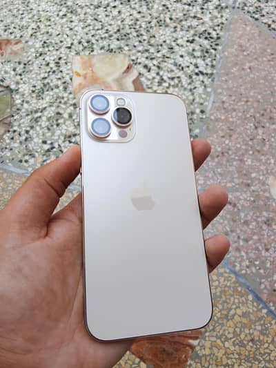 Apple iPhone 12 Pro Max
