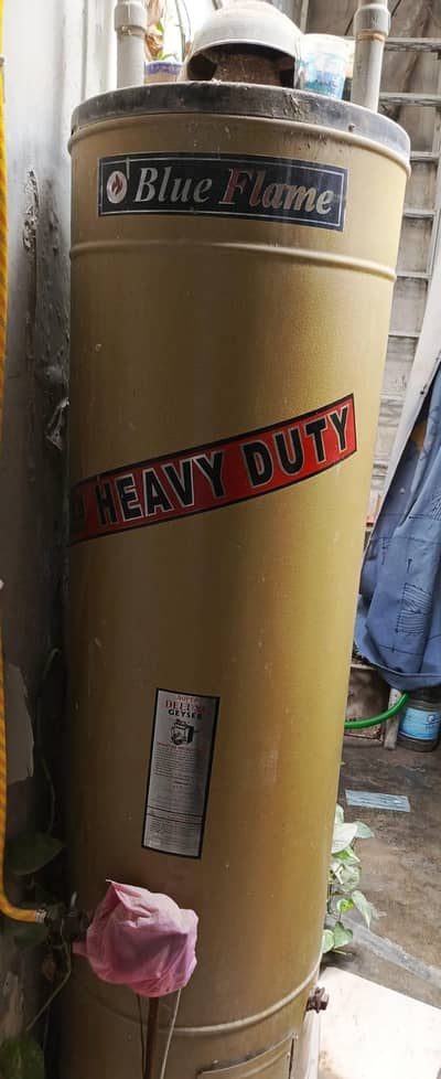 Geyser Gas