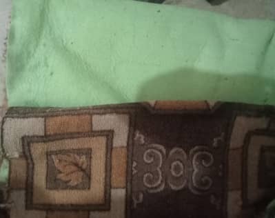 Room Carpet in double thick  textured up side carpet n down thin foam