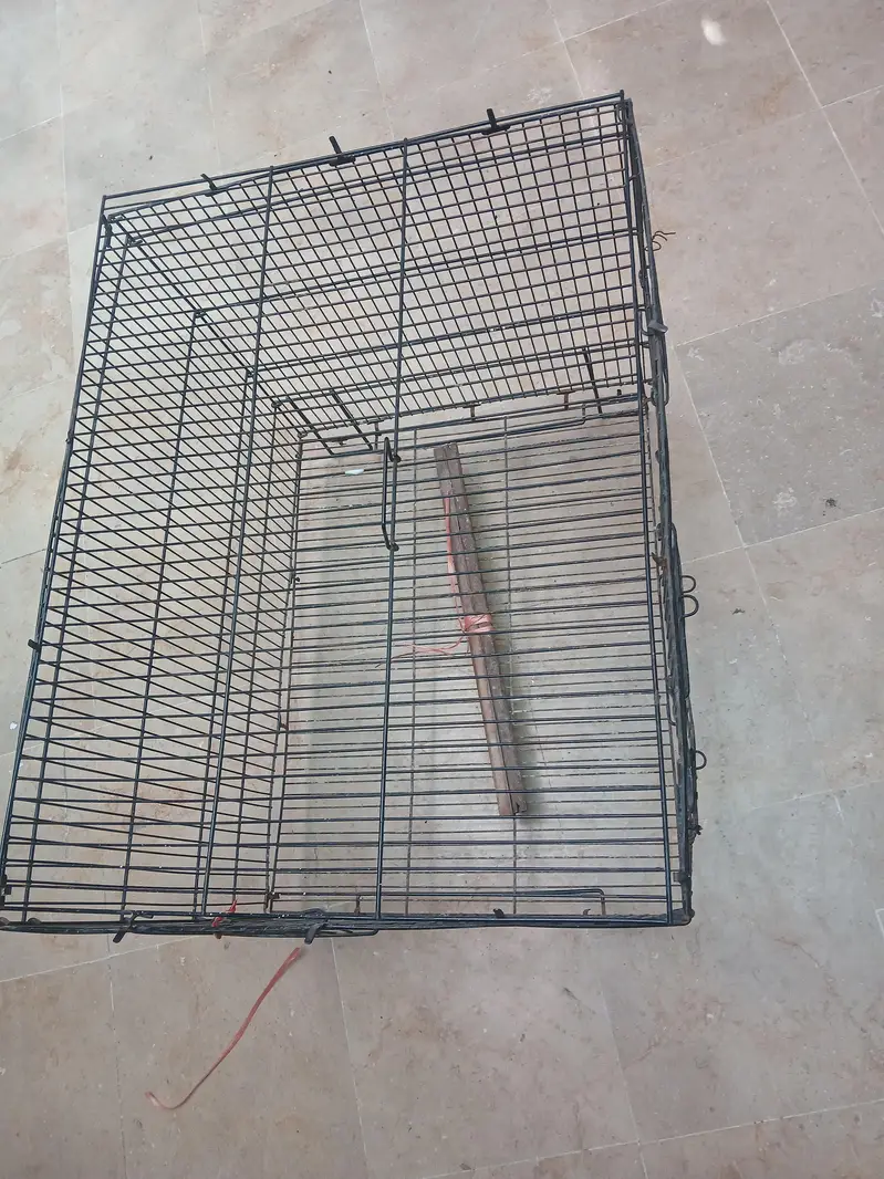 Folding Cage 2 x 1.5 feet with box  is for urgent sale