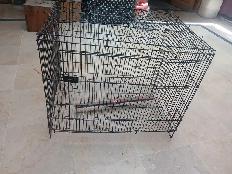 Folding Cage 2 x 1.5 feet with box  is for urgent sale — photo 4