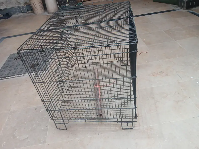 Folding Cage 2 x 1.5 feet with box  is for urgent sale — photo 5