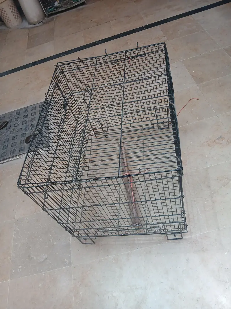 Folding Cage 2 x 1.5 feet with box  is for urgent sale — photo 6