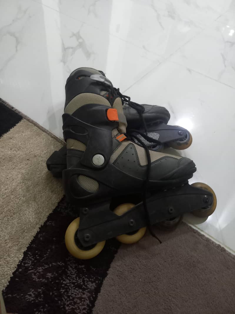 roller Skates 1