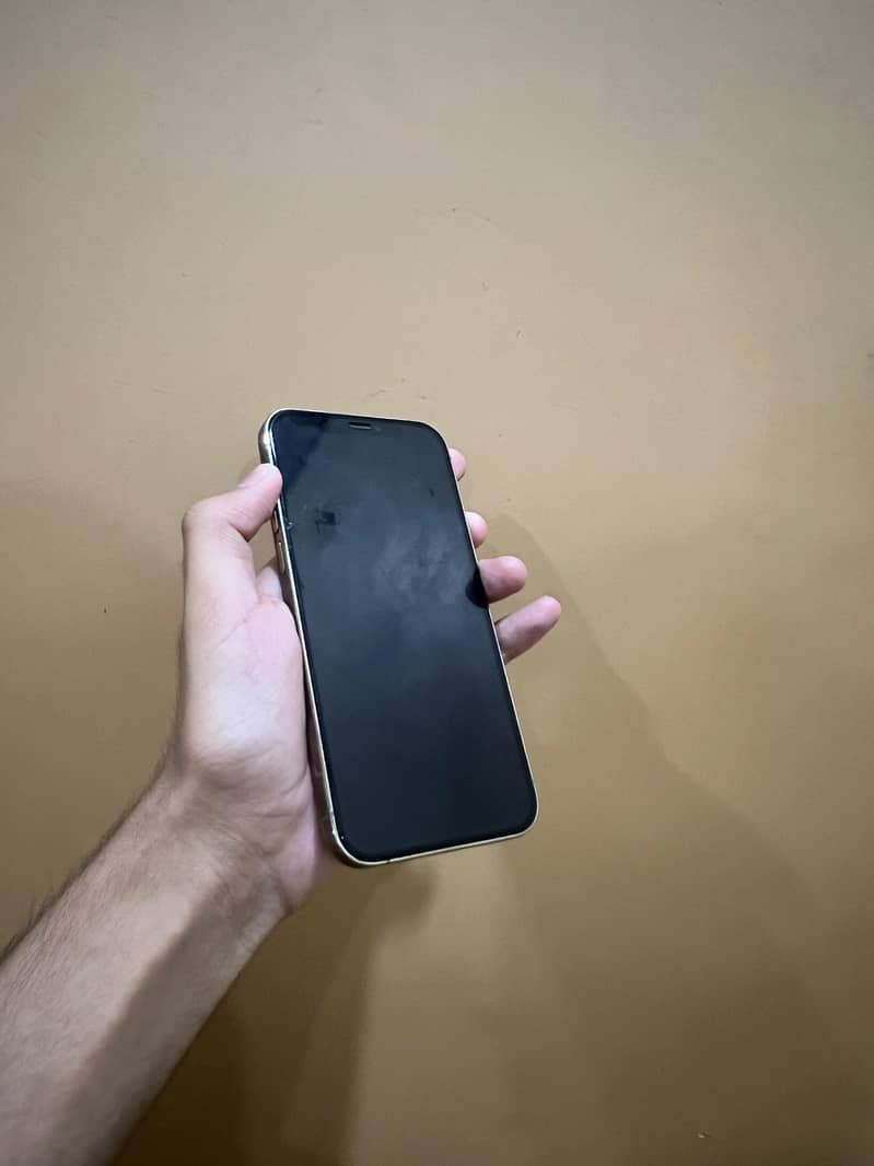Apple iPhone 12 Pro 3